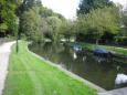 Parksingel 