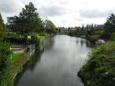 Parksingel 